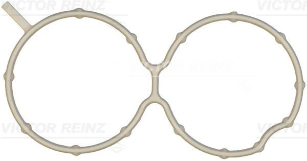 Gasket, intake manifold